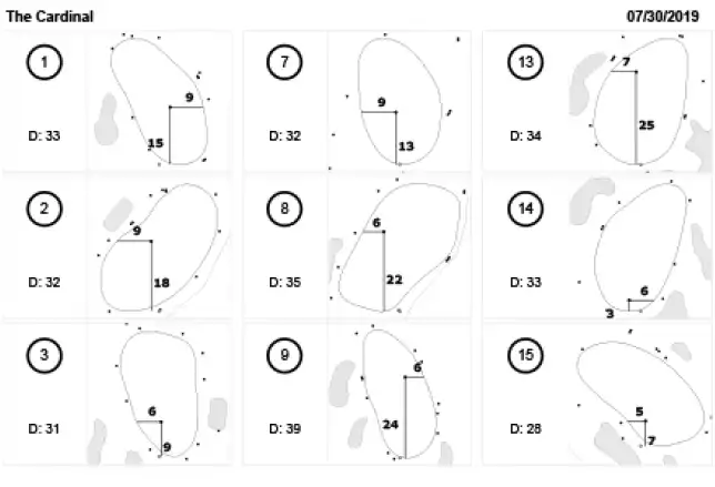 StrackaHoLo pinsheet example