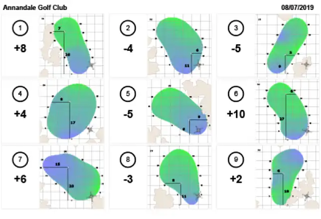 StrackaHoLo pinsheet example