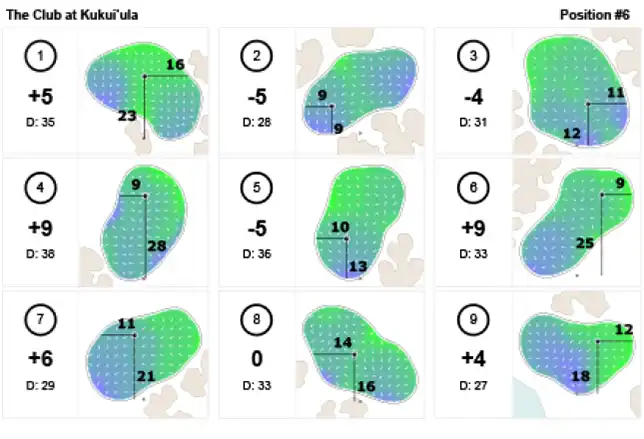 StrackaHoLo pinsheet example