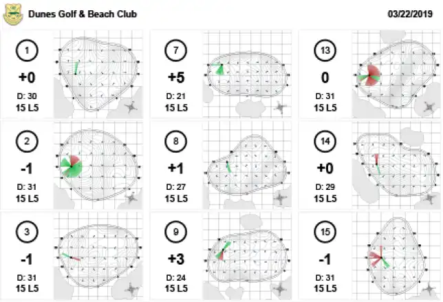 StrackaHoLo pinsheet example